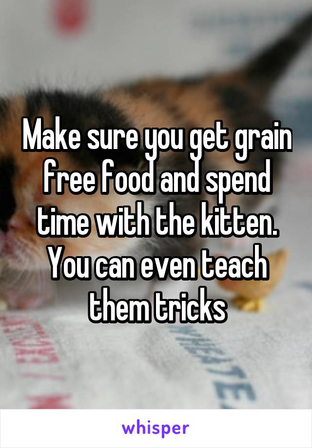 Make sure you get grain free food and spend time with the kitten. You can even teach them tricks