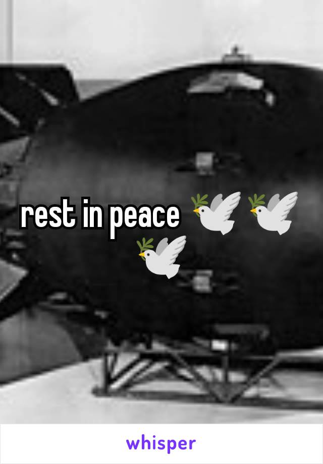 rest in peace 🕊️🕊️🕊️
