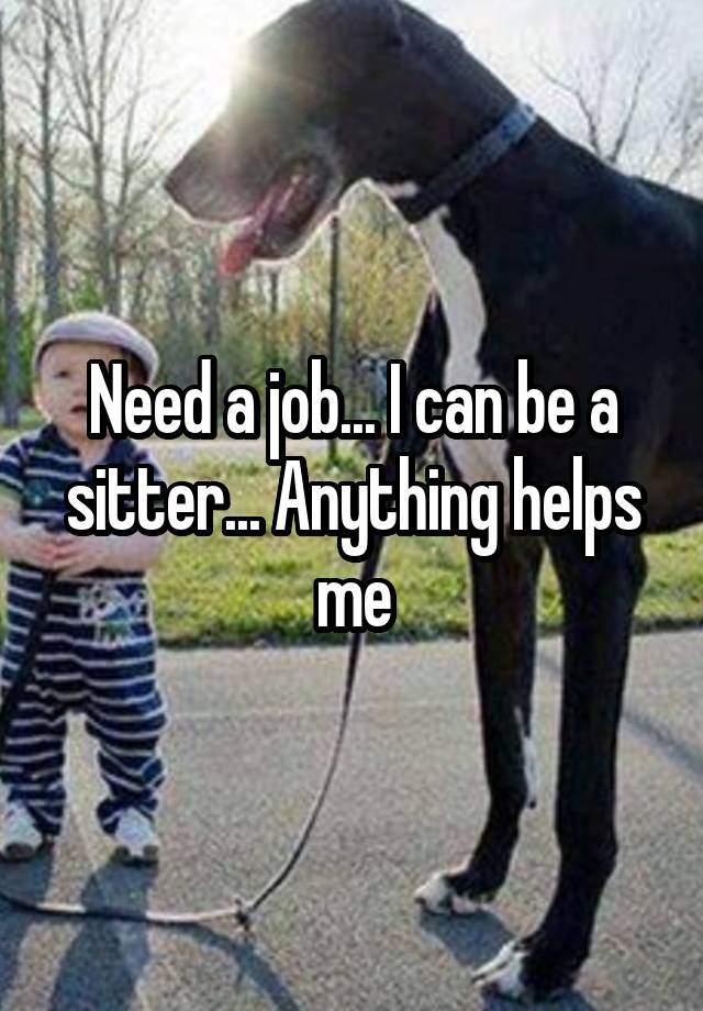 Need a job... I can be a sitter... Anything helps me