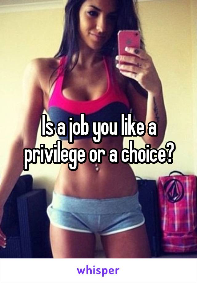 Is a job you like a privilege or a choice?