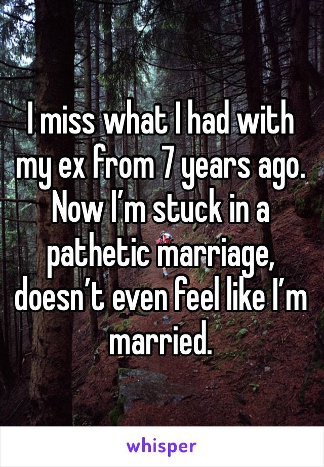 I miss what I had with my ex from 7 years ago. Now I’m stuck in a pathetic marriage, doesn’t even feel like I’m married. 