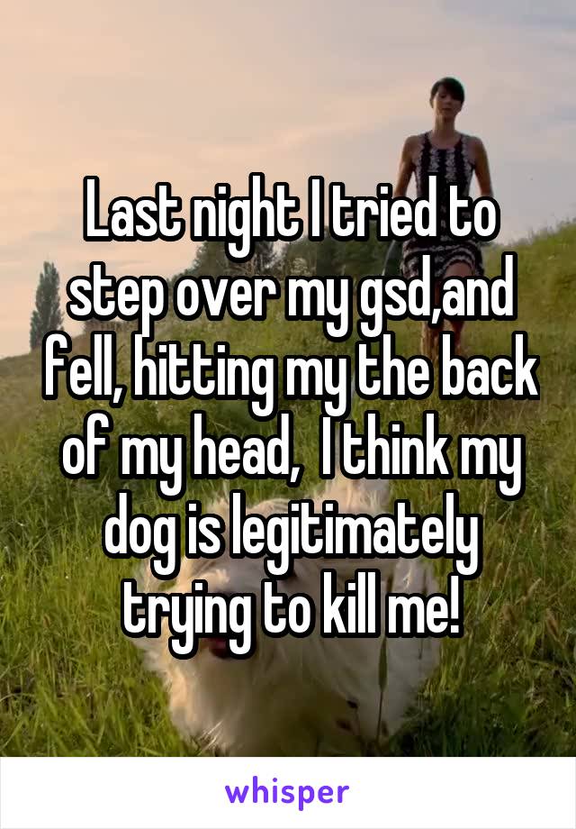 Last night I tried to step over my gsd,and fell, hitting my the back of my head,  I think my dog is legitimately trying to kill me!