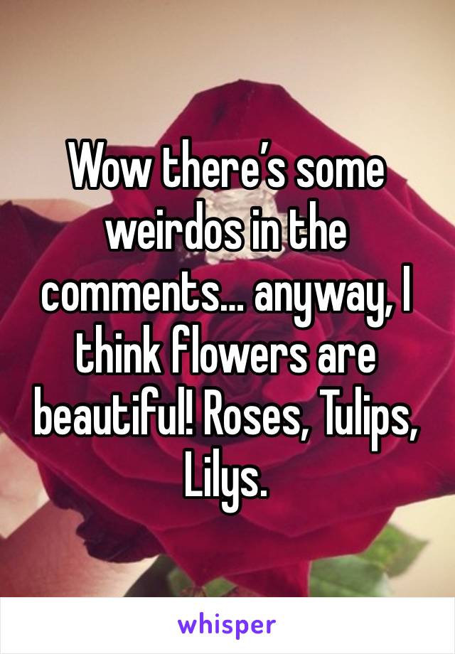 Wow there’s some weirdos in the comments… anyway, I think flowers are beautiful! Roses, Tulips, Lilys. 