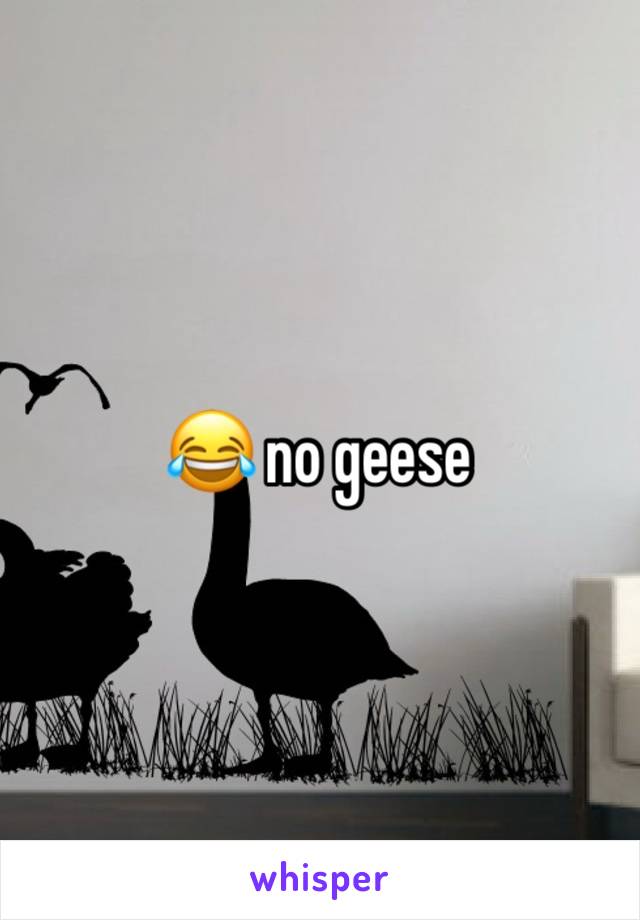 😂 no geese 