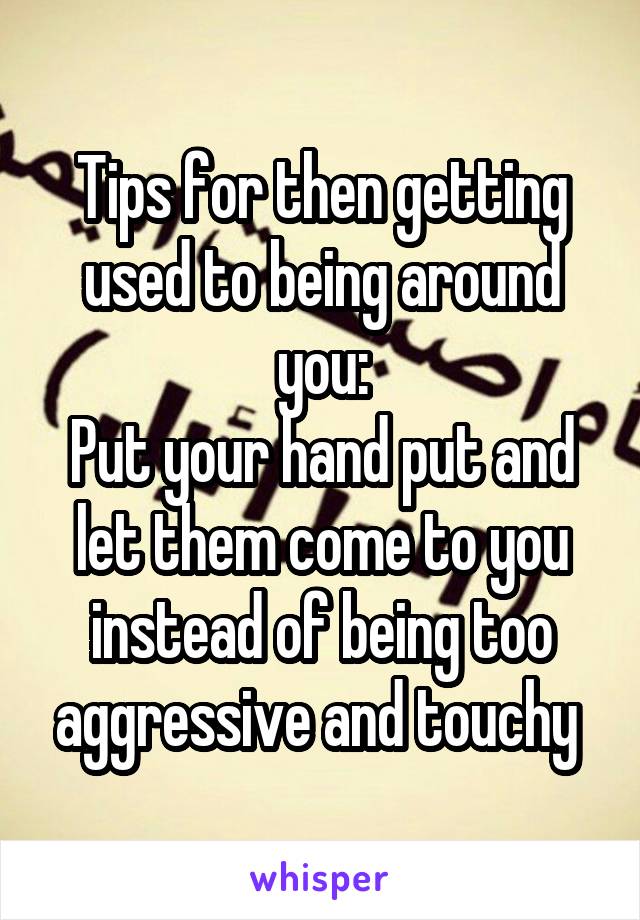 Tips for then getting used to being around you:
Put your hand put and let them come to you instead of being too aggressive and touchy 