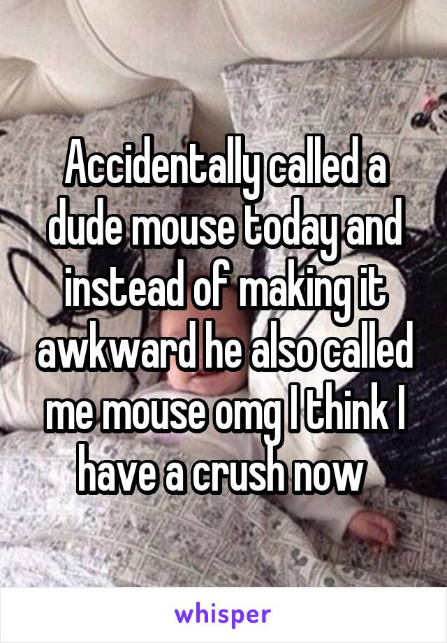 Accidentally called a dude mouse today and instead of making it awkward he also called me mouse omg I think I have a crush now 