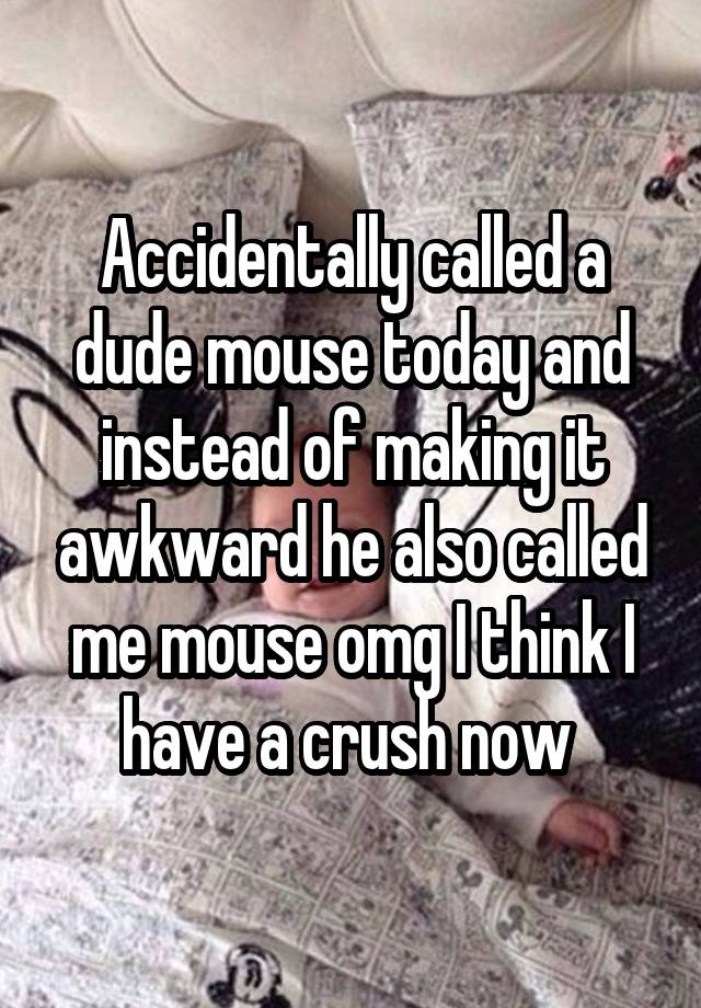 Accidentally called a dude mouse today and instead of making it awkward he also called me mouse omg I think I have a crush now 
