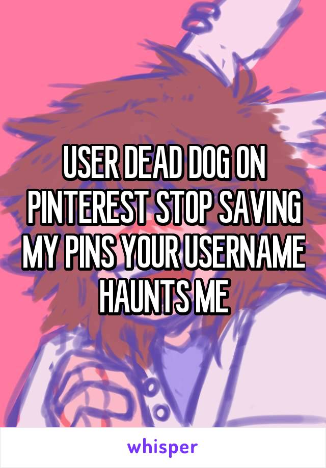 USER DEAD DOG ON PINTEREST STOP SAVING MY PINS YOUR USERNAME HAUNTS ME