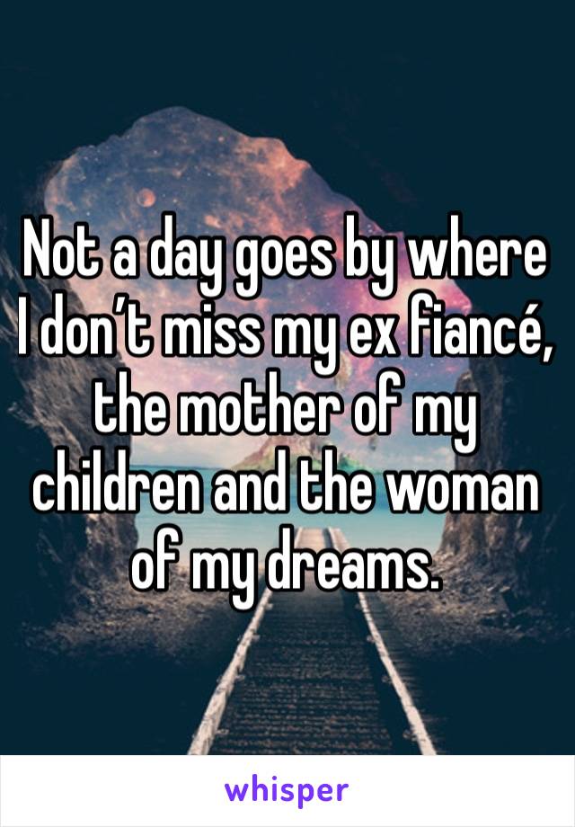 Not a day goes by where I don’t miss my ex fiancé, the mother of my children and the woman of my dreams. 