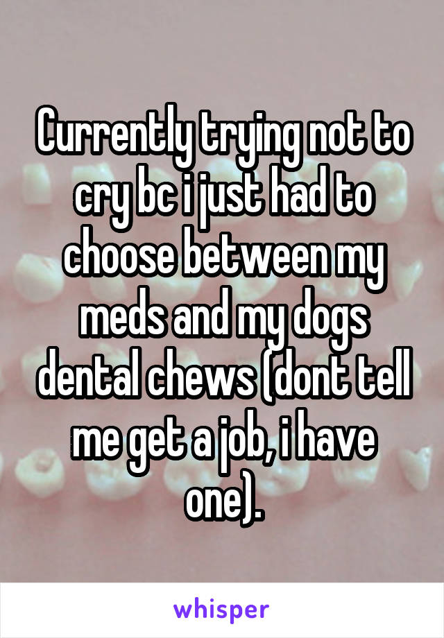 Currently trying not to cry bc i just had to choose between my meds and my dogs dental chews (dont tell me get a job, i have one).