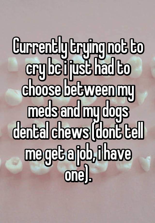 Currently trying not to cry bc i just had to choose between my meds and my dogs dental chews (dont tell me get a job, i have one).