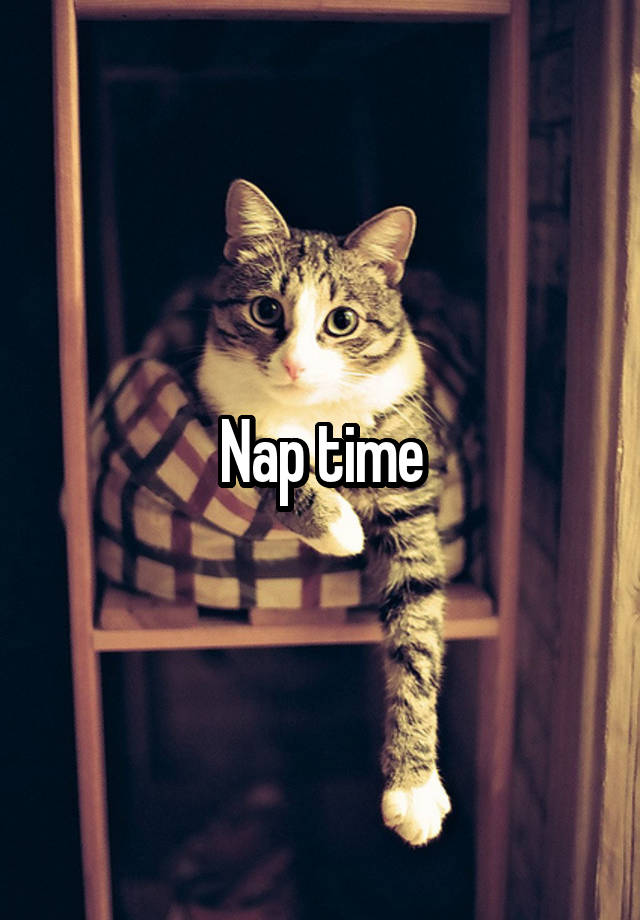 Nap time