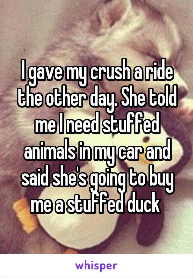 I gave my crush a ride the other day. She told me I need stuffed animals in my car and said she's going to buy me a stuffed duck 