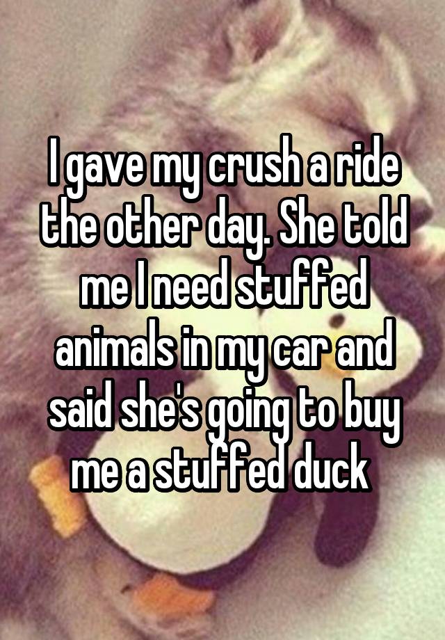 I gave my crush a ride the other day. She told me I need stuffed animals in my car and said she's going to buy me a stuffed duck 