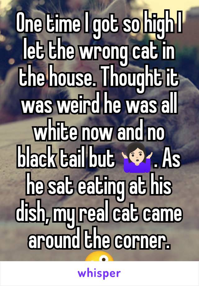 One time I got so high I let the wrong cat in the house. Thought it was weird he was all white now and no black tail but 🤷🏻‍♀️. As he sat eating at his dish, my real cat came around the corner. 🤪