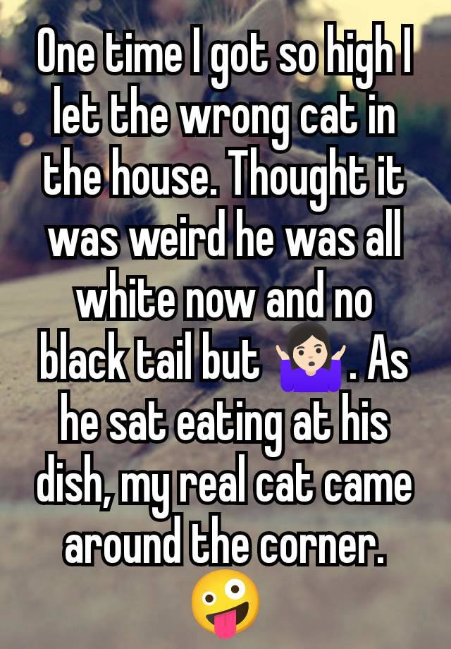 One time I got so high I let the wrong cat in the house. Thought it was weird he was all white now and no black tail but 🤷🏻‍♀️. As he sat eating at his dish, my real cat came around the corner. 🤪