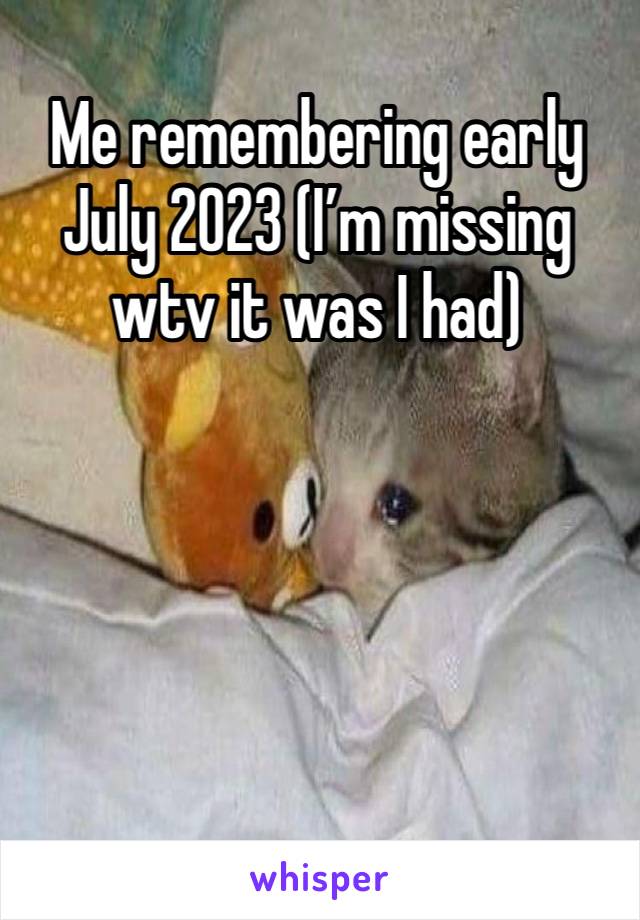 Me remembering early July 2023 (I’m missing wtv it was I had)