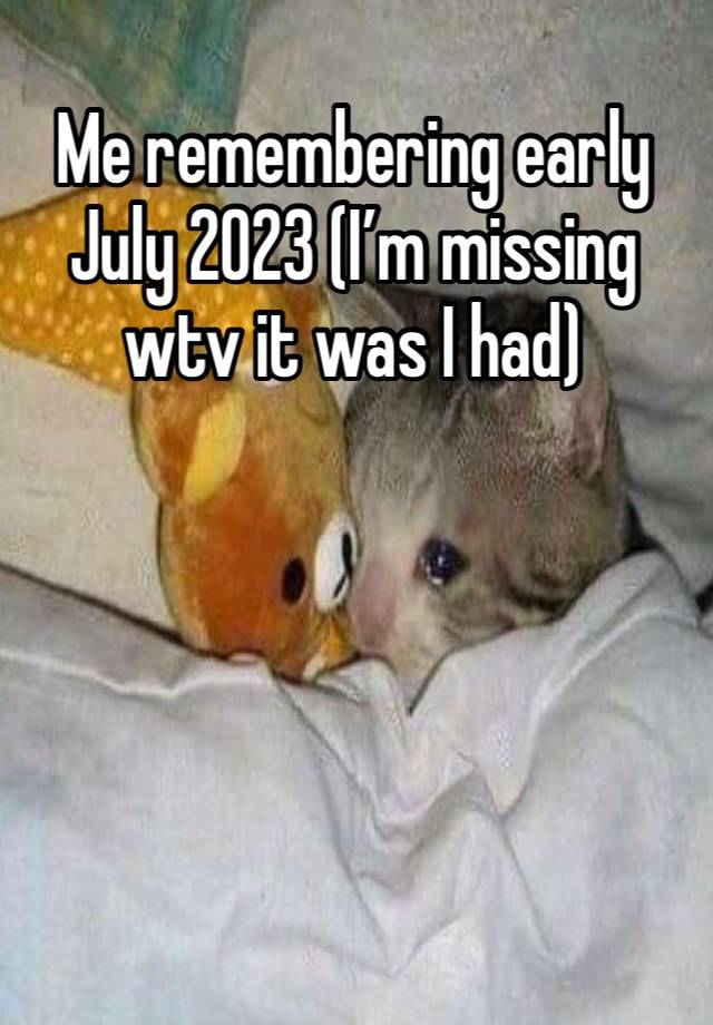 Me remembering early July 2023 (I’m missing wtv it was I had)