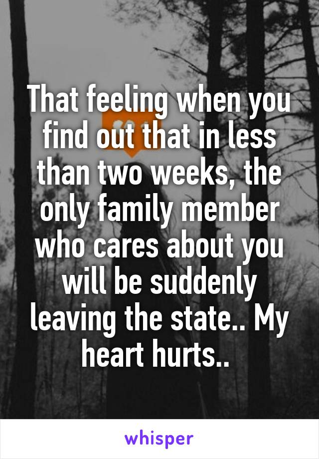 That feeling when you find out that in less than two weeks, the only family member who cares about you will be suddenly leaving the state.. My heart hurts.. 