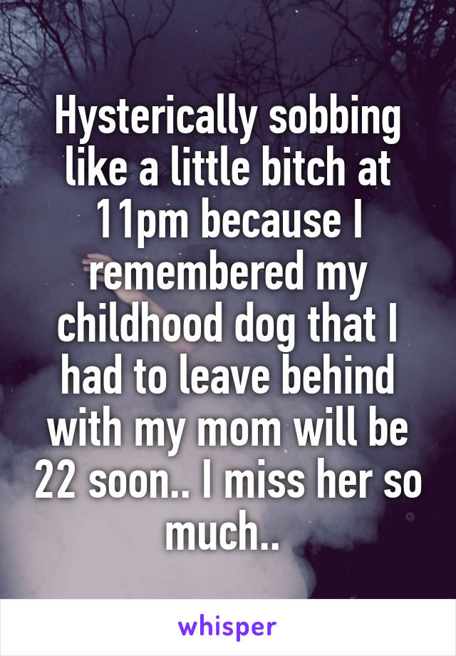 Hysterically sobbing like a little bitch at 11pm because I remembered my childhood dog that I had to leave behind with my mom will be 22 soon.. I miss her so much.. 