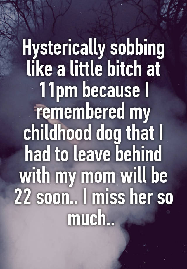 Hysterically sobbing like a little bitch at 11pm because I remembered my childhood dog that I had to leave behind with my mom will be 22 soon.. I miss her so much.. 