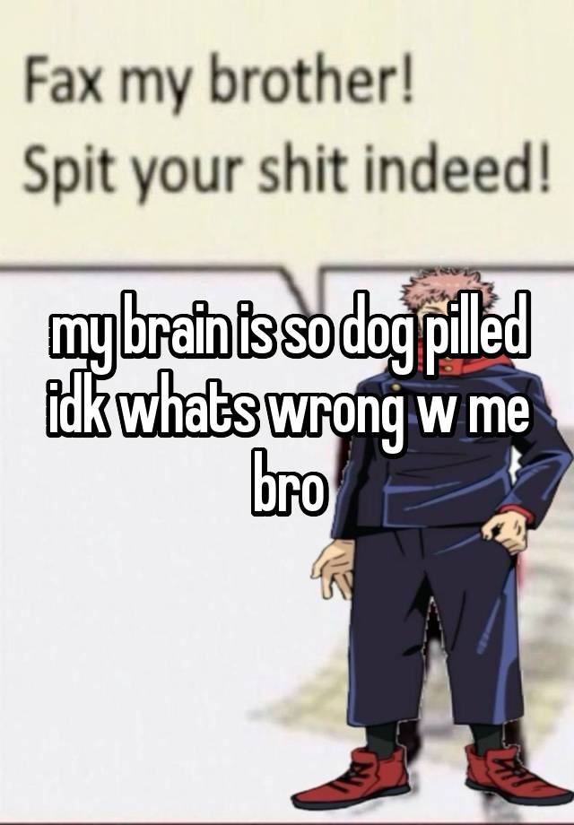 my brain is so dog pilled idk whats wrong w me bro