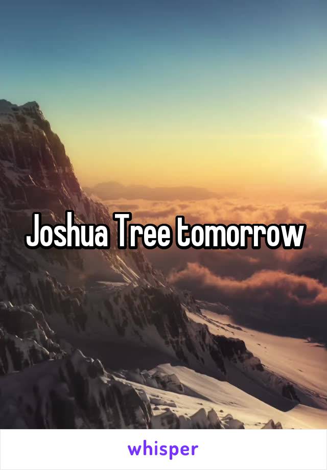 Joshua Tree tomorrow