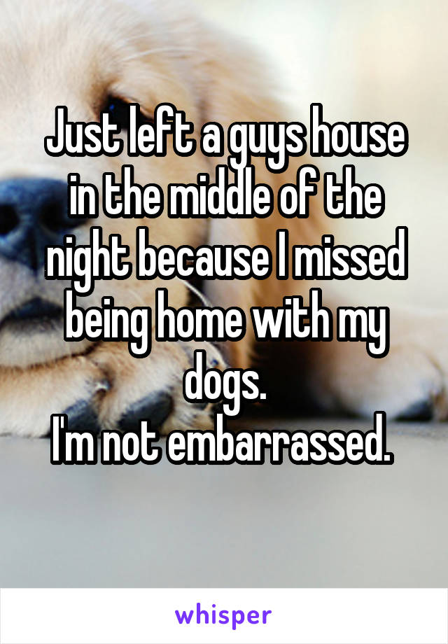 Just left a guys house in the middle of the night because I missed being home with my dogs.
I'm not embarrassed. 
