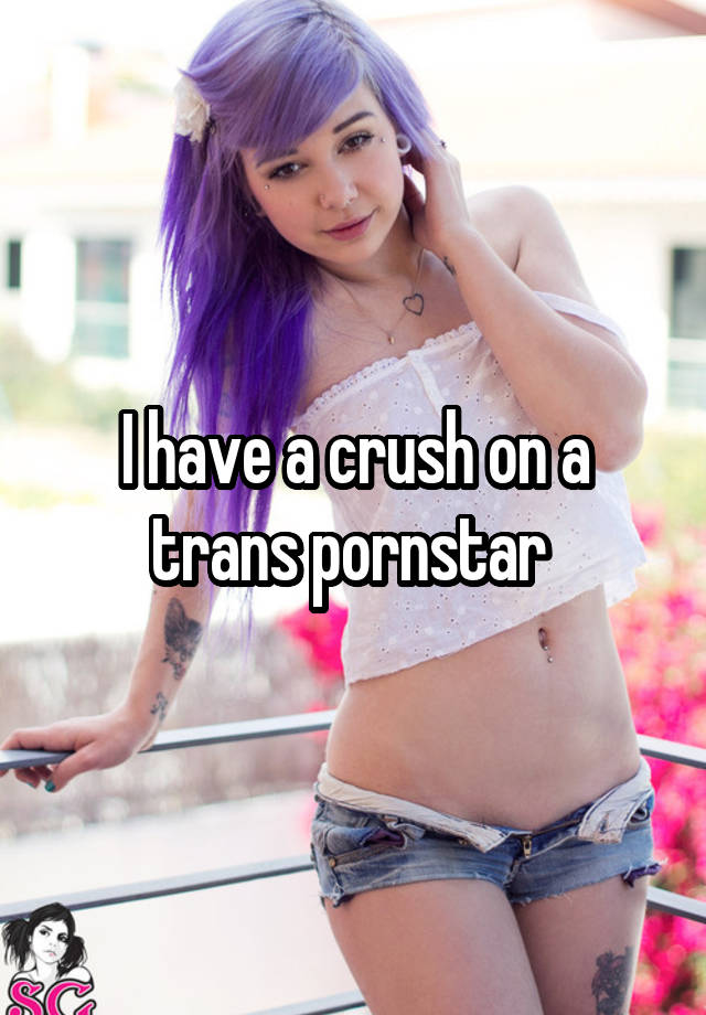 I have a crush on a trans pornstar 