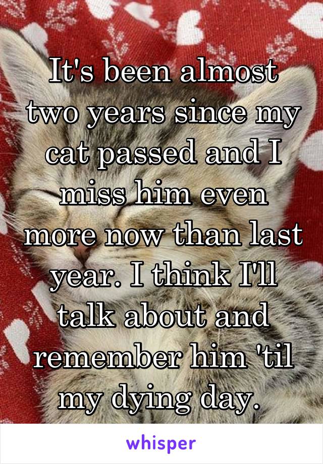 It's been almost two years since my cat passed and I miss him even more now than last year. I think I'll talk about and remember him 'til my dying day. 