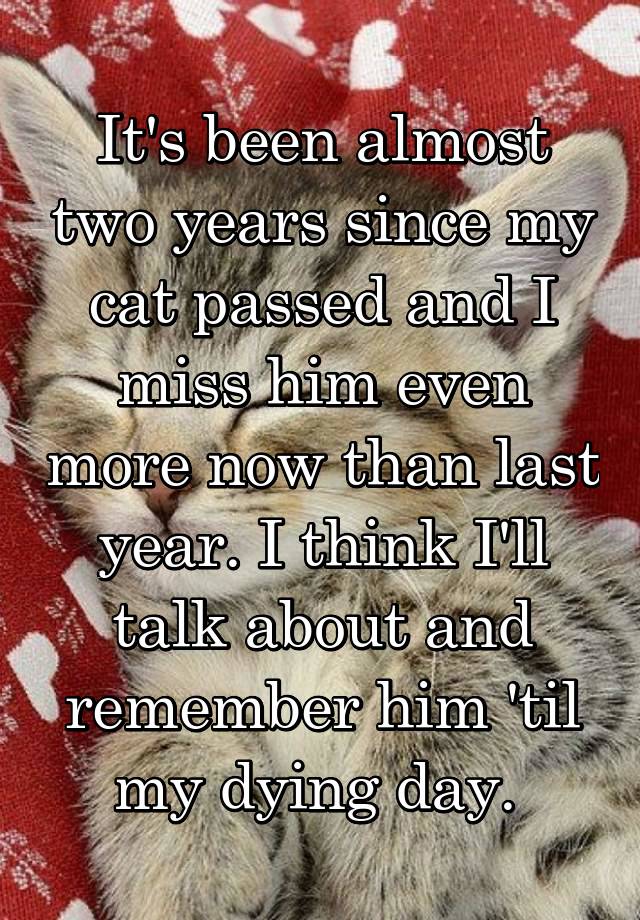 It's been almost two years since my cat passed and I miss him even more now than last year. I think I'll talk about and remember him 'til my dying day. 