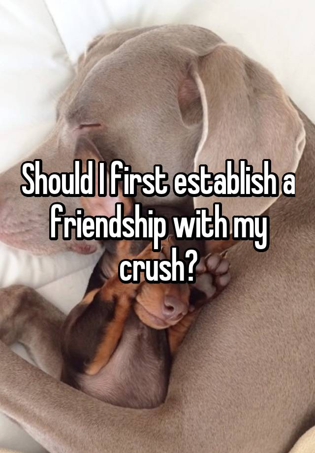 Should I first establish a friendship with my crush?