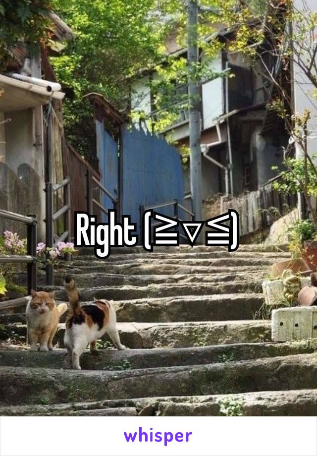 Right (⁠≧⁠▽⁠≦⁠)