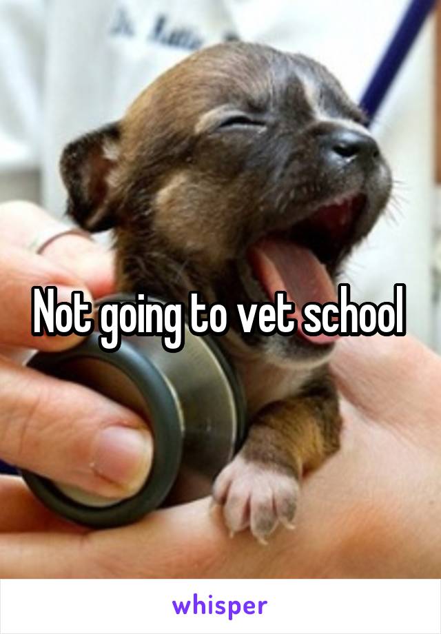 Not going to vet school 