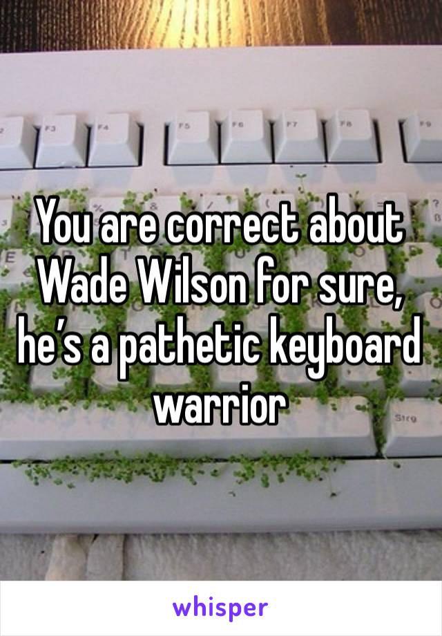 You are correct about Wade Wilson for sure, he’s a pathetic keyboard warrior 