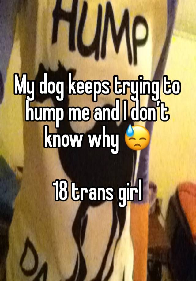 My dog keeps trying to hump me and I don’t know why 😓

18 trans girl