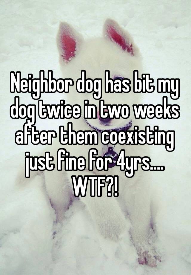 Neighbor dog has bit my dog twice in two weeks after them coexisting just fine for 4yrs…. WTF?!