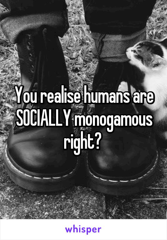 You realise humans are SOCIALLY monogamous right? 