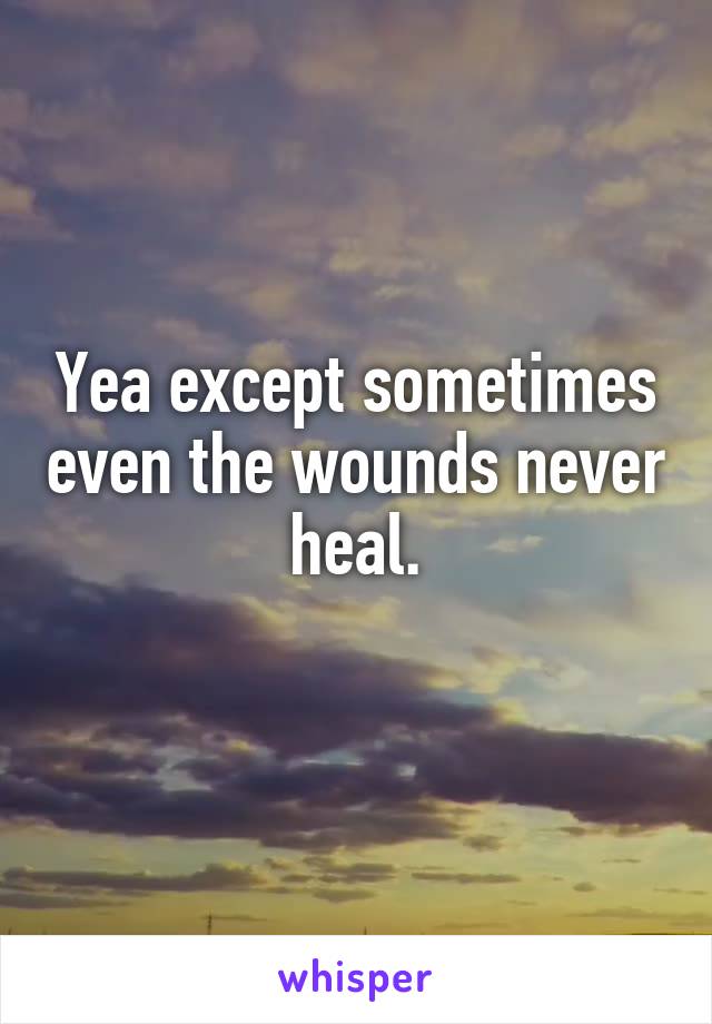 Yea except sometimes even the wounds never heal.
