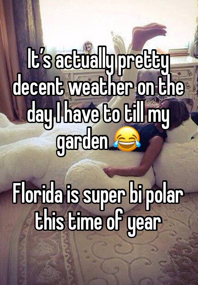 It’s actually pretty decent weather on the day I have to till my garden 😂 

Florida is super bi polar this time of year