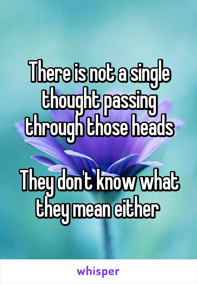 There is not a single thought passing through those heads

They don't know what they mean either 