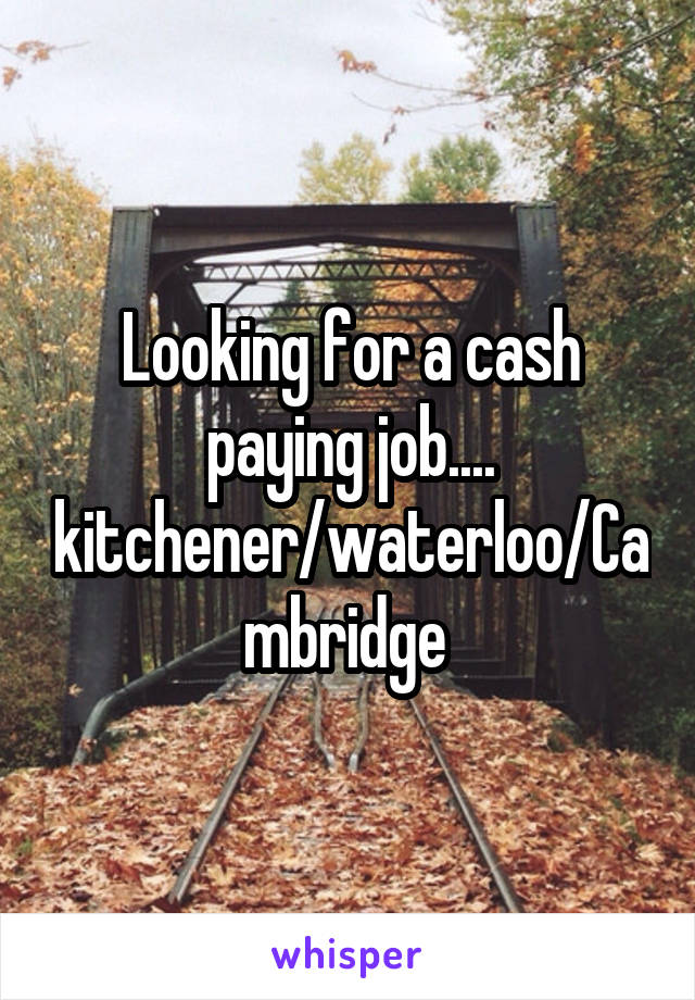 Looking for a cash paying job.... kitchener/waterloo/Cambridge 