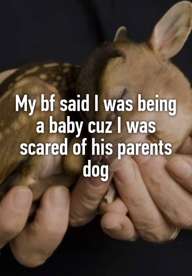 My bf said I was being a baby cuz I was scared of his parents dog