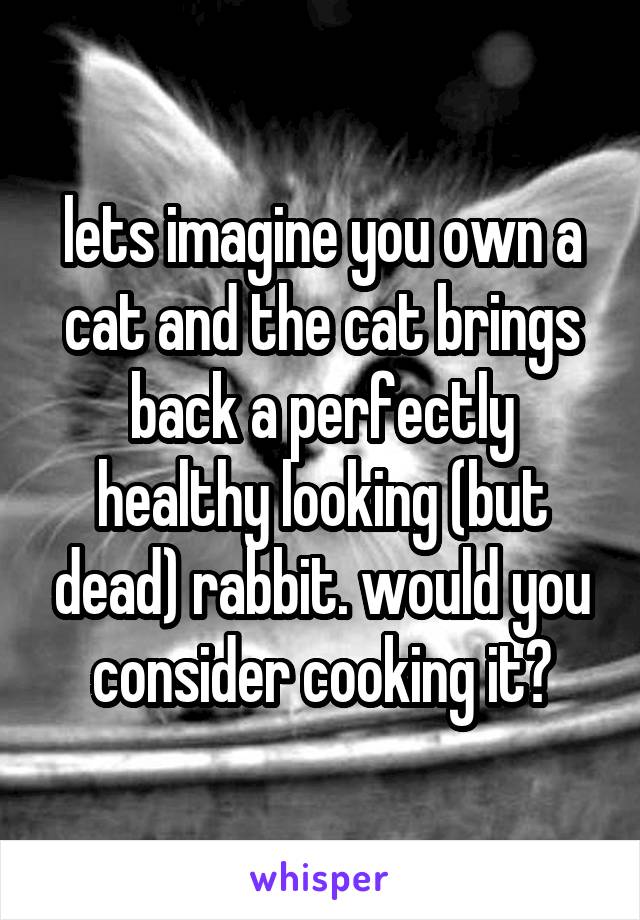 lets imagine you own a cat and the cat brings back a perfectly healthy looking (but dead) rabbit. would you consider cooking it?