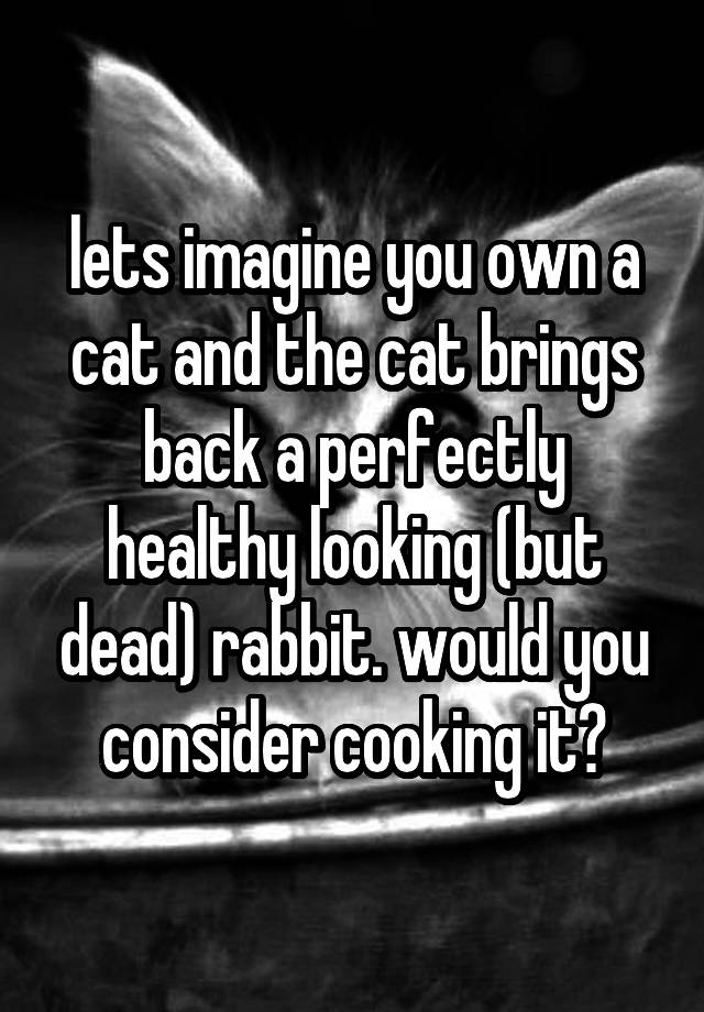 lets imagine you own a cat and the cat brings back a perfectly healthy looking (but dead) rabbit. would you consider cooking it?