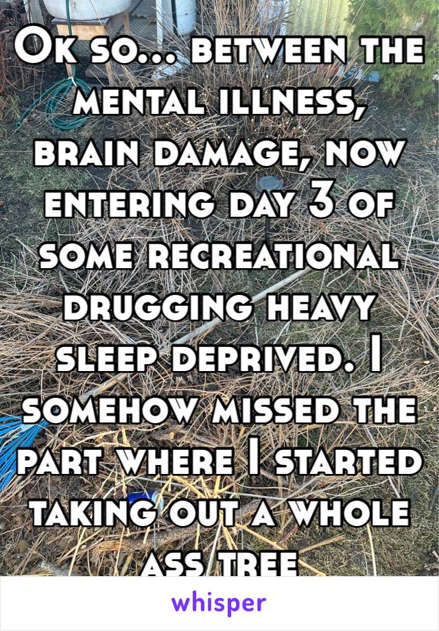 Ok so… between the mental illness, brain damage, now entering day 3 of some recreational drugging heavy sleep deprived. I somehow missed the part where I started taking out a whole ass tree 