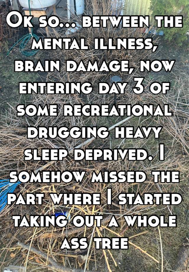 Ok so… between the mental illness, brain damage, now entering day 3 of some recreational drugging heavy sleep deprived. I somehow missed the part where I started taking out a whole ass tree 