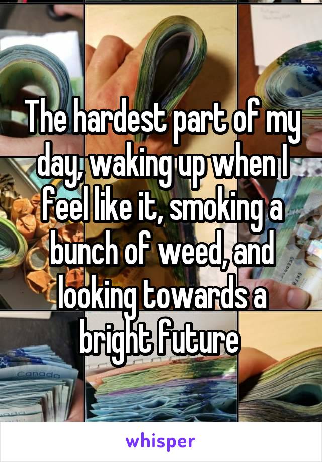 The hardest part of my day, waking up when I feel like it, smoking a bunch of weed, and looking towards a bright future 