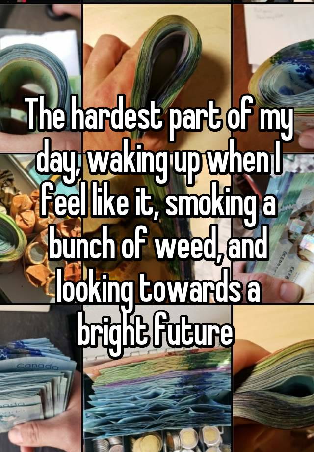 The hardest part of my day, waking up when I feel like it, smoking a bunch of weed, and looking towards a bright future 