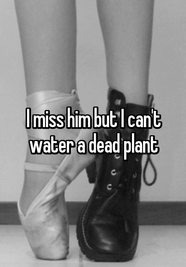 I miss him but I can't water a dead plant